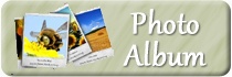 Photo Album Button.jpg